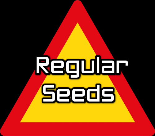 3. Regular Seeds