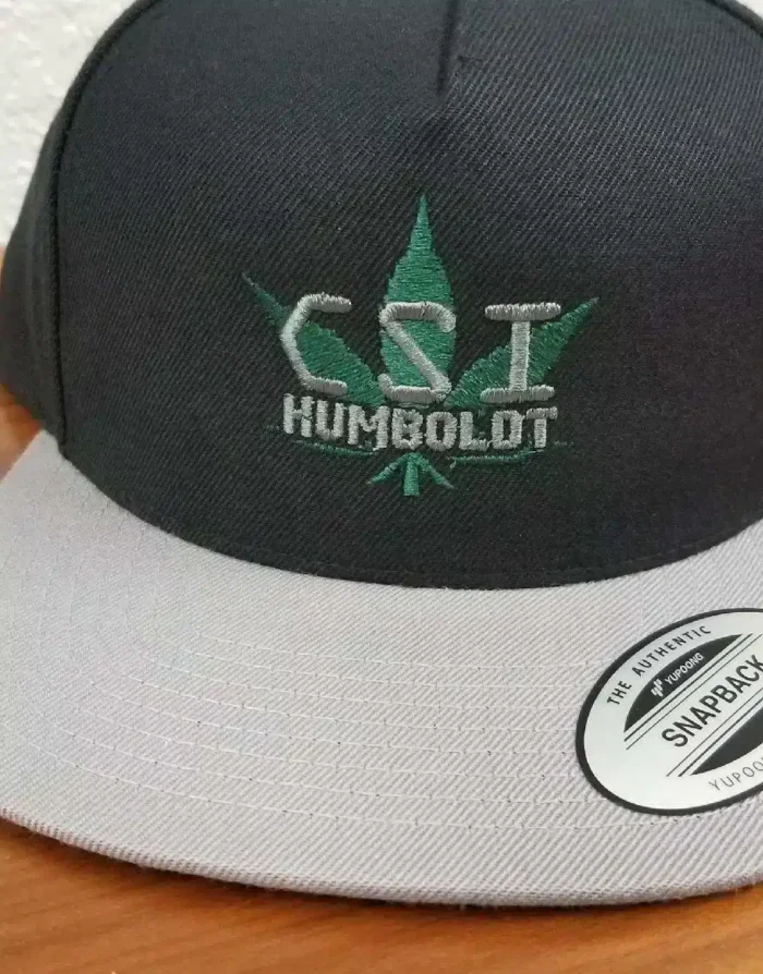 a black and grey hat with a green leaf on it