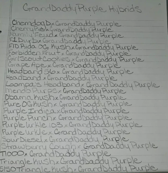 a list of purples on a piece of paper