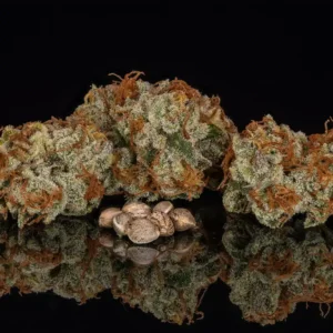 a group of marijuana buds and some seeds
