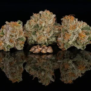a group of marijuana buds and seeds