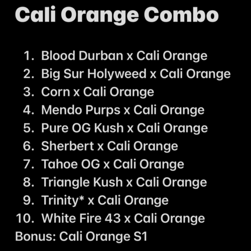 CaliOrangeCombo