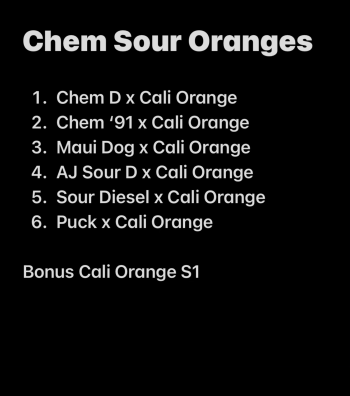 ChemSourOranges